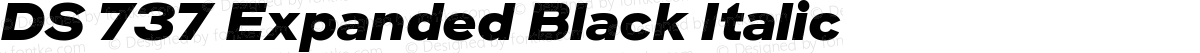 DS 737 Expanded Black Italic