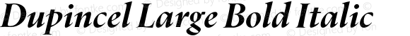 Dupincel Large Bold Italic