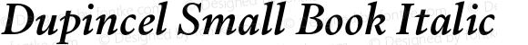 Dupincel Small Book Italic