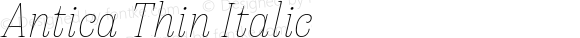 Antica Thin Italic