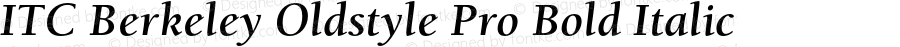 ITC Berkeley Oldstyle Pro Bold Italic