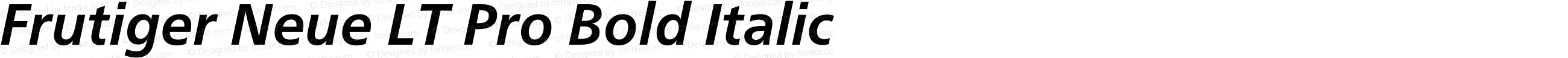Frutiger Neue LT Pro Bold Italic