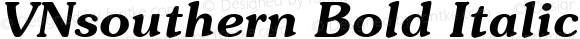 VNsouthern Bold Italic
