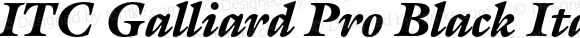 GalliardPro-BlackItalic