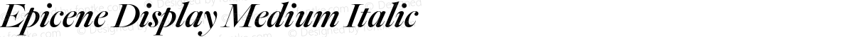 Epicene Display Medium Italic