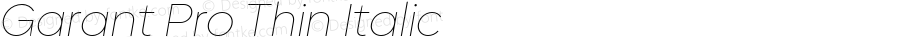 Garant Pro Thin Italic