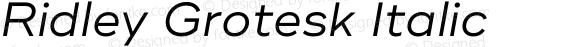 RidleyGrotesk-Italic