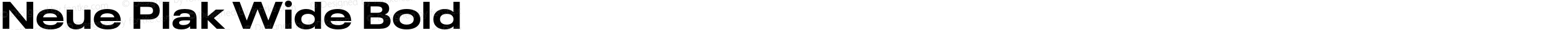 Neue Plak Wide Bold