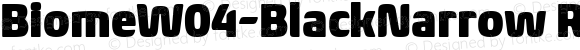 BiomeW04-BlackNarrow Regular