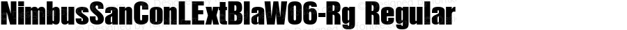 NimbusSanConLExtBlaW06-Rg Regular Version 1.10