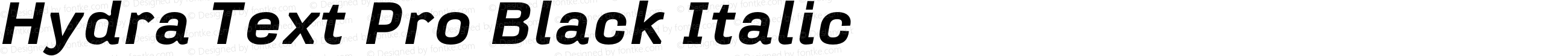 Hydra Text Pro Black Italic