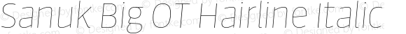 Sanuk Big OT Hairline Italic