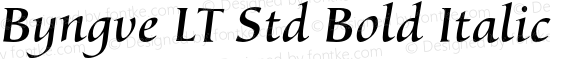 Byngve LT Std Bold Italic