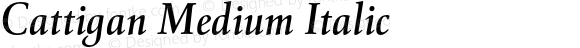 Cattigan Medium Italic
