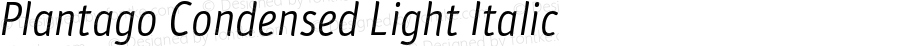 Plantago Condensed Light Italic