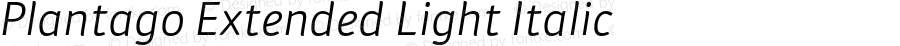 Plantago Extended Light Italic