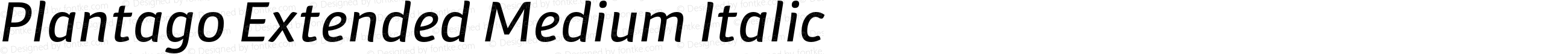Plantago Extended Medium Italic