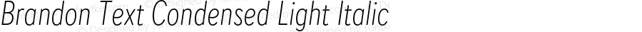 Brandon Text Condensed Light Italic