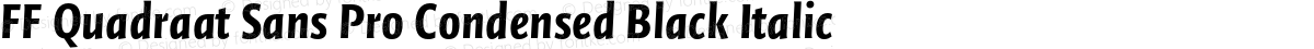 FF Quadraat Sans Pro Condensed Black Italic