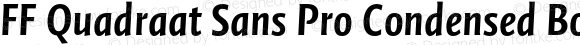 FF Quadraat Sans Pro Condensed Bold Italic
