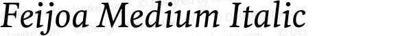 Feijoa Medium Italic