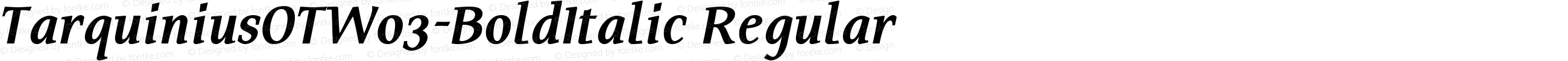 Tarquinius OT W03 Bold Italic