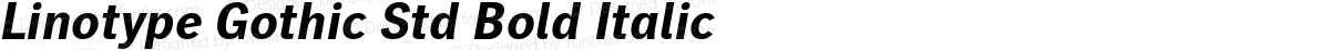 Linotype Gothic Std Bold Italic