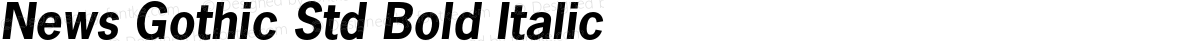 News Gothic Std Bold Italic