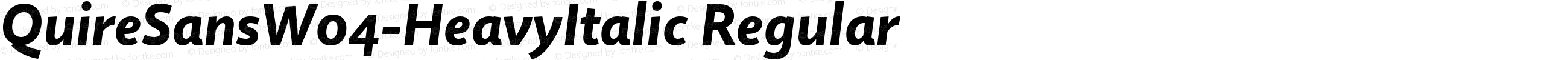 QuireSansW04-HeavyItalic Regular