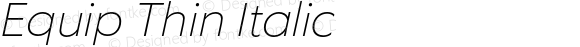 Equip Thin Italic