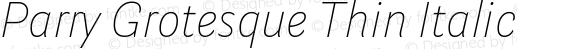 Parry Grotesque Thin Italic