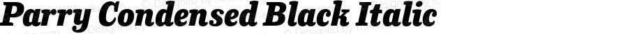 Parry Condensed Black Italic