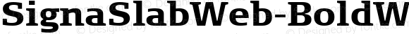SignaSlabWeb-BoldW03-Rg Regular Version 7.504