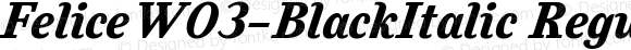 FeliceW03-BlackItalic Regular Version 1.00