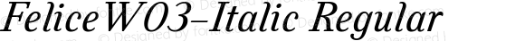 FeliceW03-Italic Regular Version 1.00