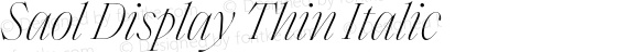 Saol Display Thin Italic