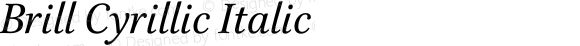 Brill Cyrillic Italic