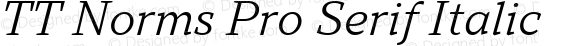 TT Norms Pro Serif Italic