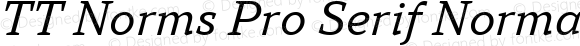 TT Norms Pro Serif Normal Italic