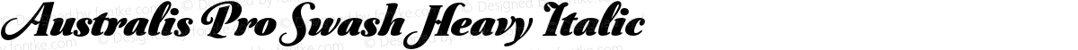 Australis Pro Swash Heavy Italic