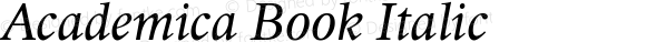 Academica Book Italic