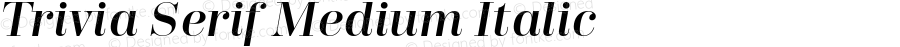 TriviaSerifMedium-Italic