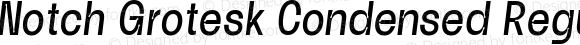 Notch Grotesk Condensed Regular Italic