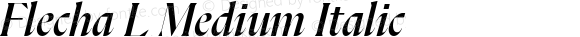 Flecha L Medium Italic