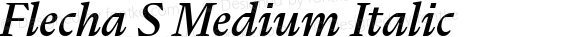 Flecha S Medium Italic