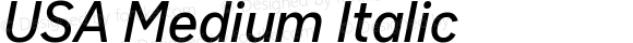 USA Medium Italic