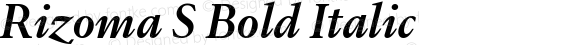 Rizoma S Bold Italic