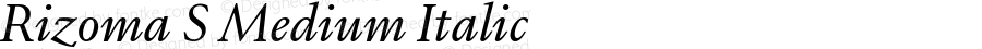 Rizoma S Medium Italic