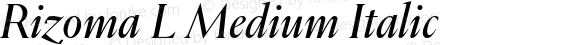 Rizoma L Medium Italic