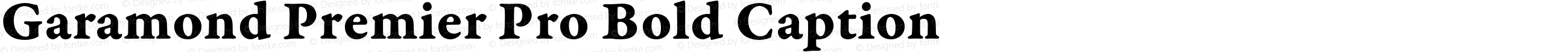 Garamond Premier Pro Bold Caption